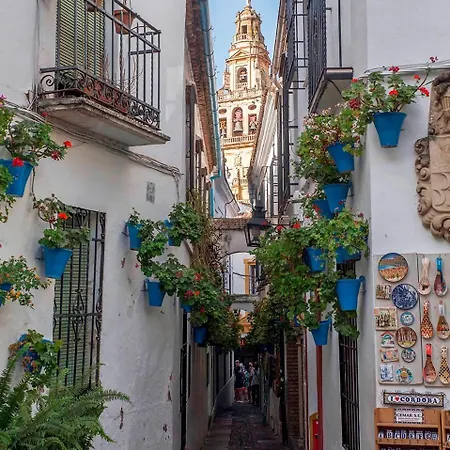 Apartamento Osario